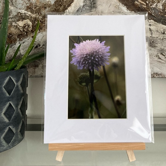 “TALL, DARK & HANDSOME” ~ ORIGINAL ART by ~ @lisamichellebeckerphotography - Picture 9 of 13